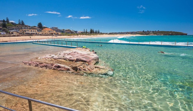Tropical Entertainers Delight in Dee Why