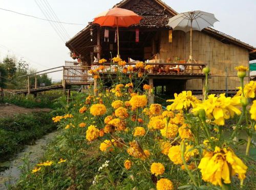Tulip Resort Pai in Pai