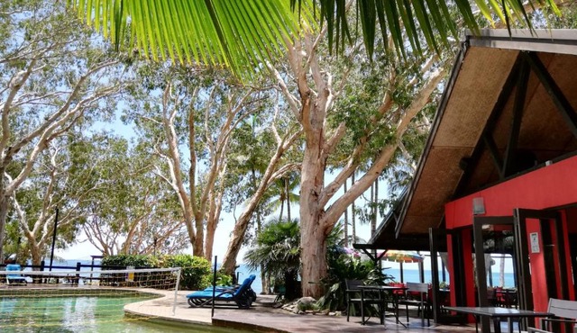 Turtle Cove Beach Resort - Respectful Adults Only - BYO food & beverage Resort