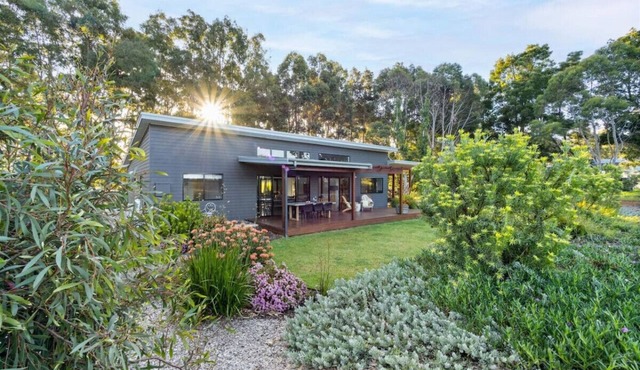 Vines & Stars | Amongst The Vines | Private Luxury