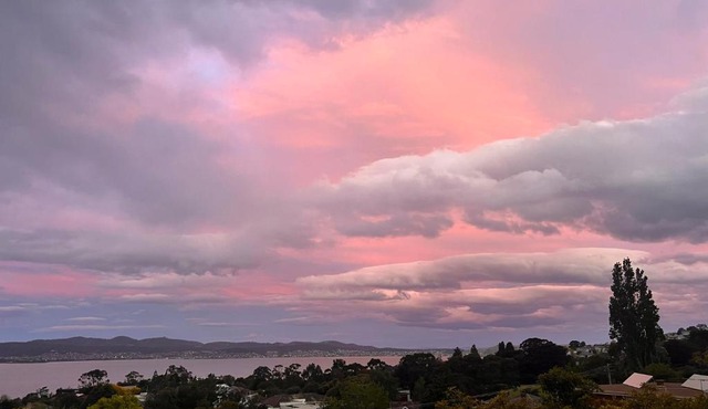 Vista Bliss