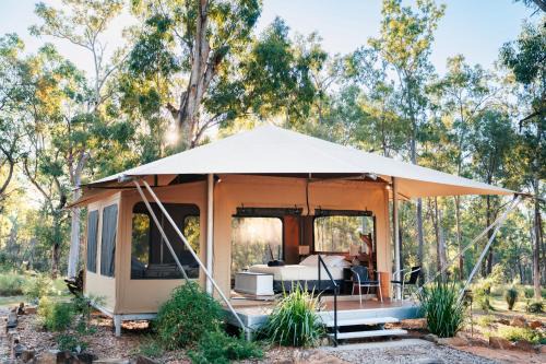 Wallaroo Outback Retreat - Glamping Tents Carnarvon Gorge