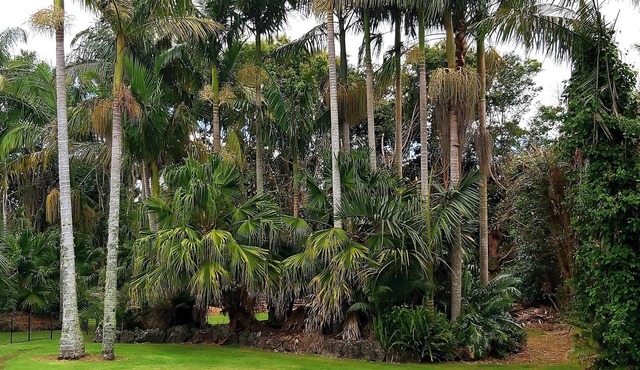 Welcome to Darwin Cottage, Kerikeri, close to town, pet friendly in Kerikeri