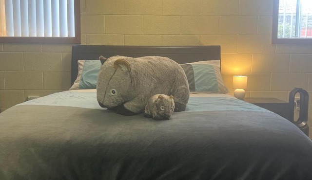 Wombats Den A warm and cosy semi underground retreat