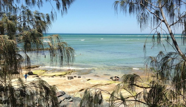 XYL Pets Friendly Seaside Boutique Guesthouse