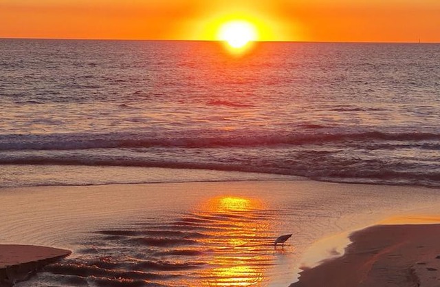 West Beach Lagoon 107 Exceptional Value! in Perth