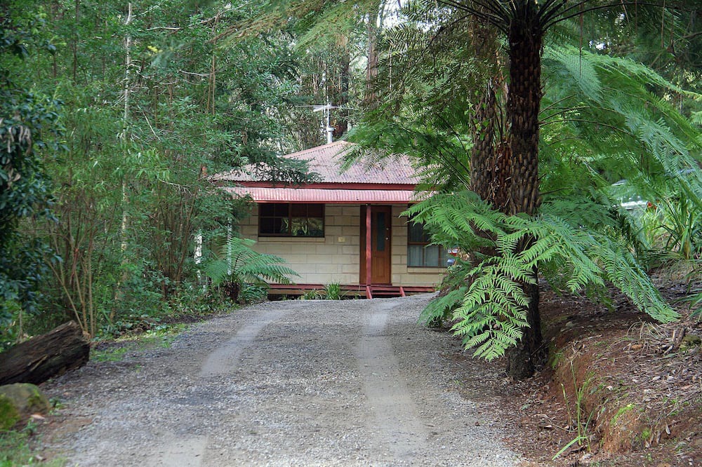 Mount Dandenong Cottage | Brook Cottage. 7 Acre Rain Forest Paradise
