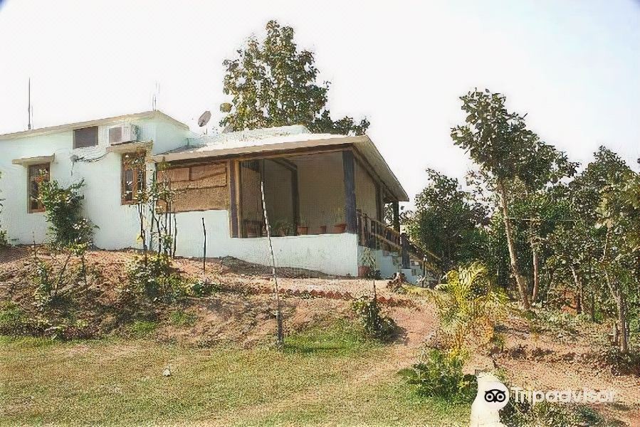 Photo of Buildings in Kumbhalgarh