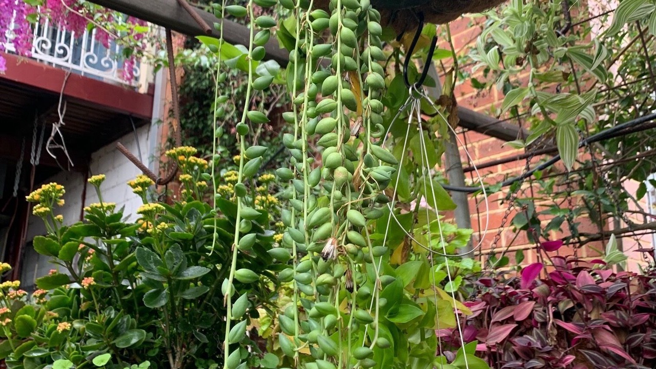 Photo of Outdoor in Guildford