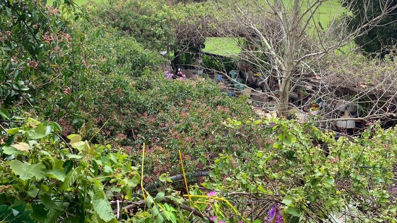 Photo of Outdoor in Guildford