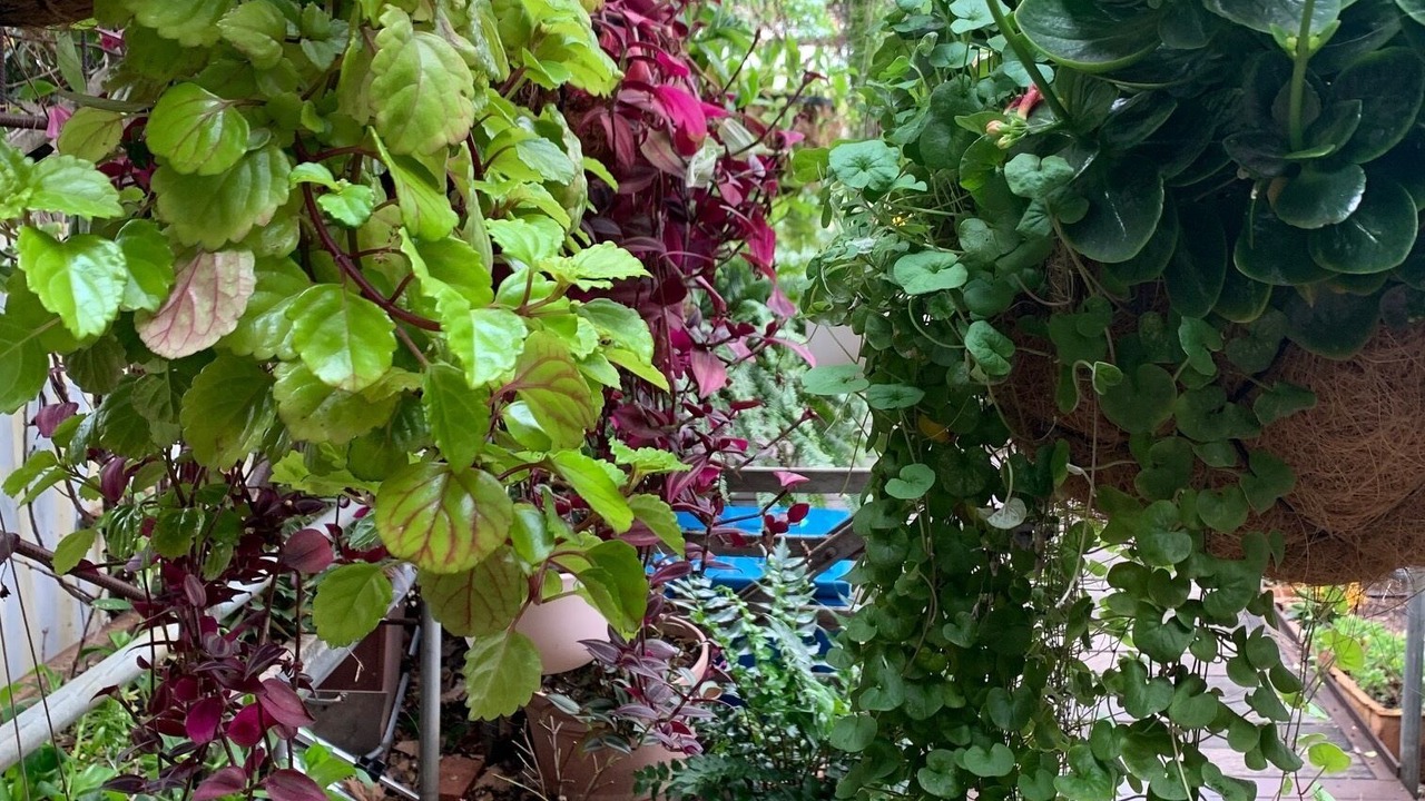 Photo of Outdoor in Guildford