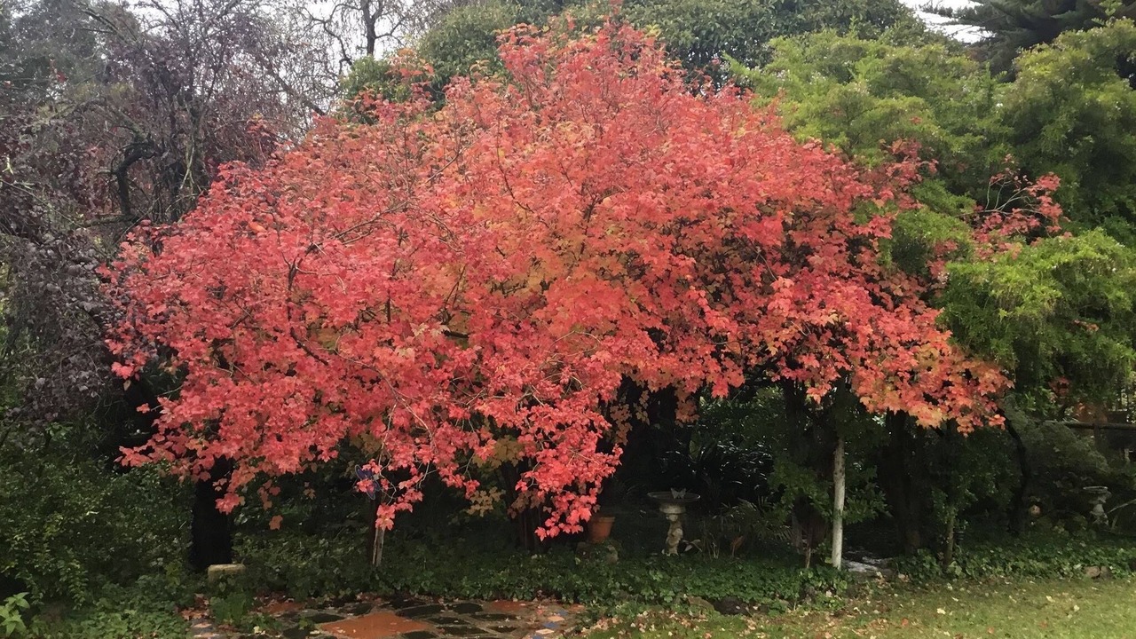 Photo of Outdoor in Tantanoola