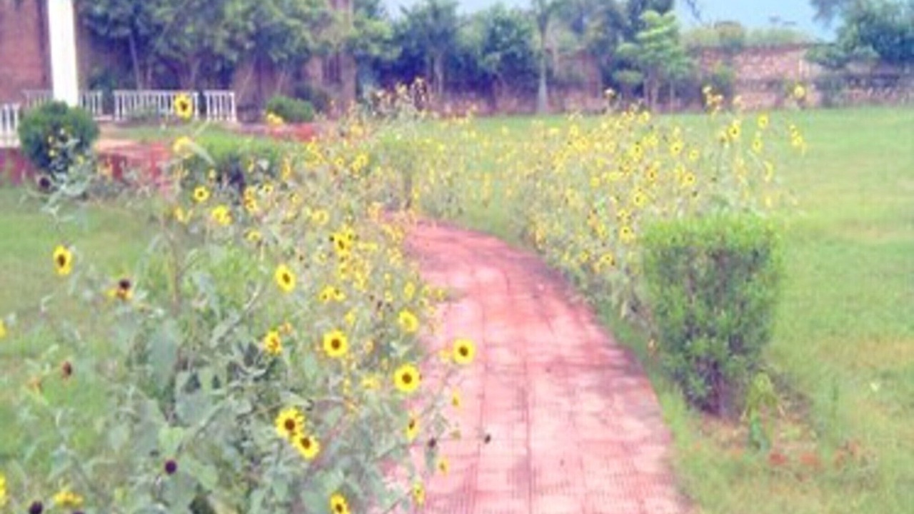 Photo of Outdoor in Bharatpur