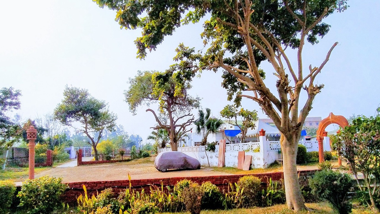 Photo of Outdoor in Bharatpur