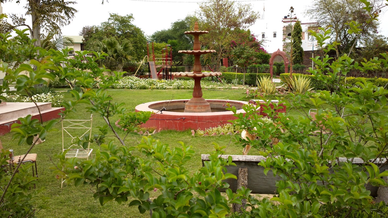 Photo of Outdoor in Bharatpur