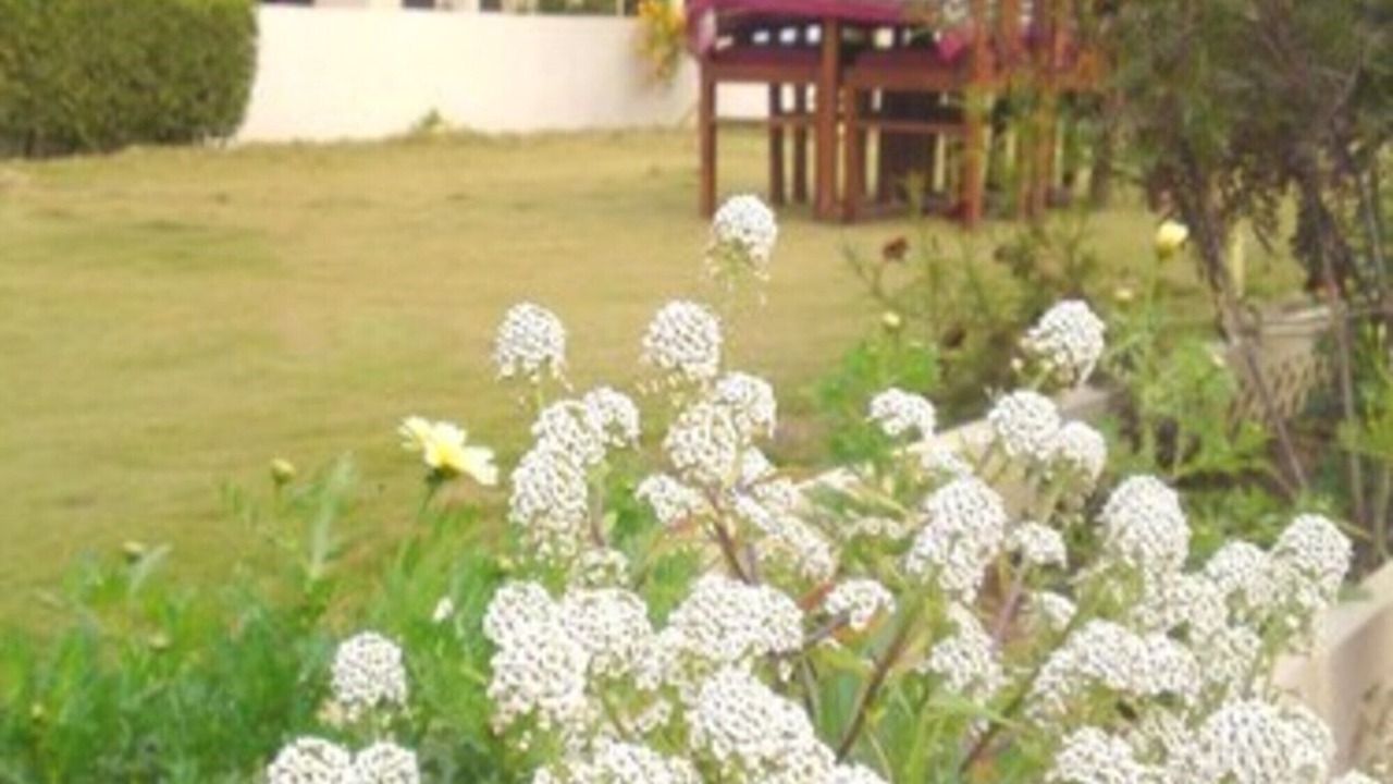 Photo of Outdoor in Bharatpur