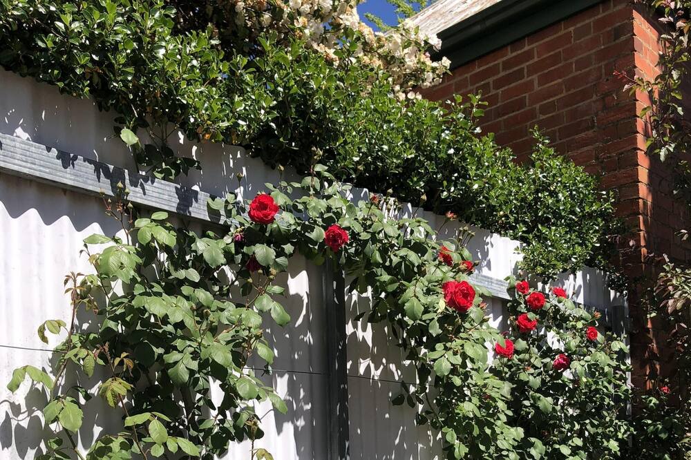 Photo of Outdoor in Beechworth