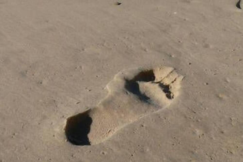 Photo of Others in Kingscliff