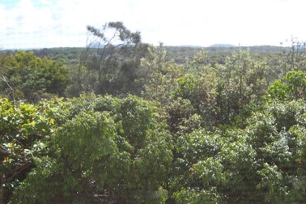 Photo of Outdoor in Peregian Beach