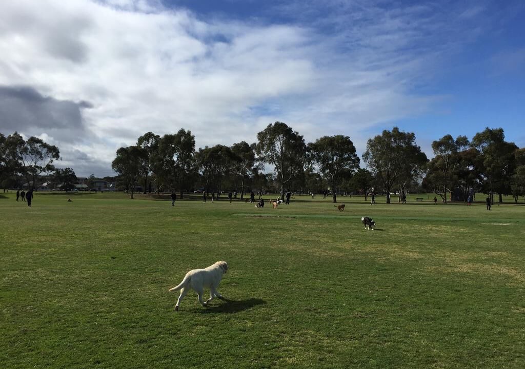 Photo of Others in Elwood