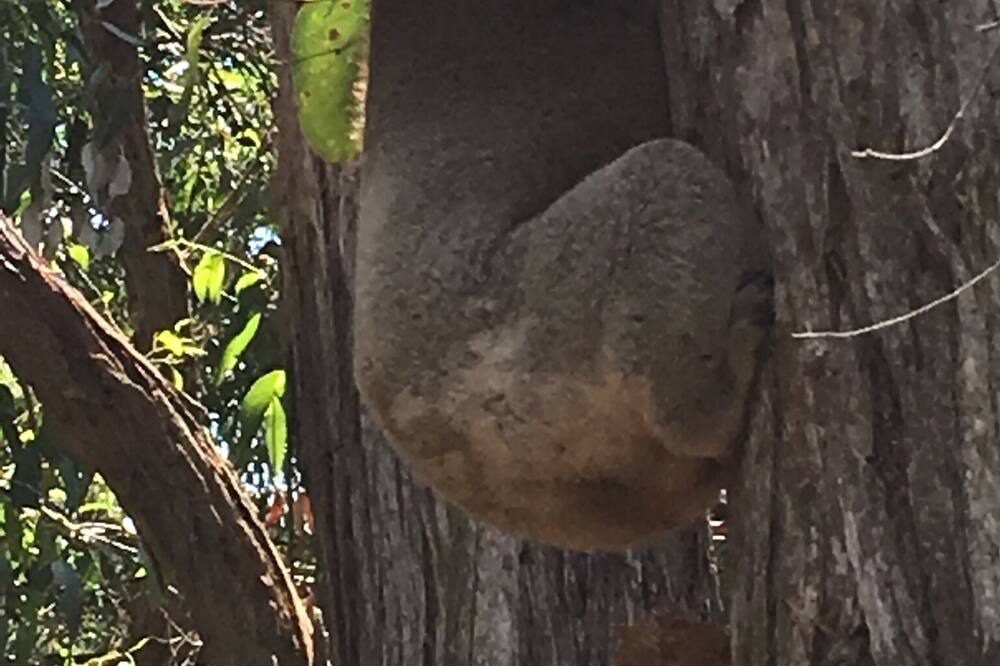 Photo of Outdoor in Red Hill South