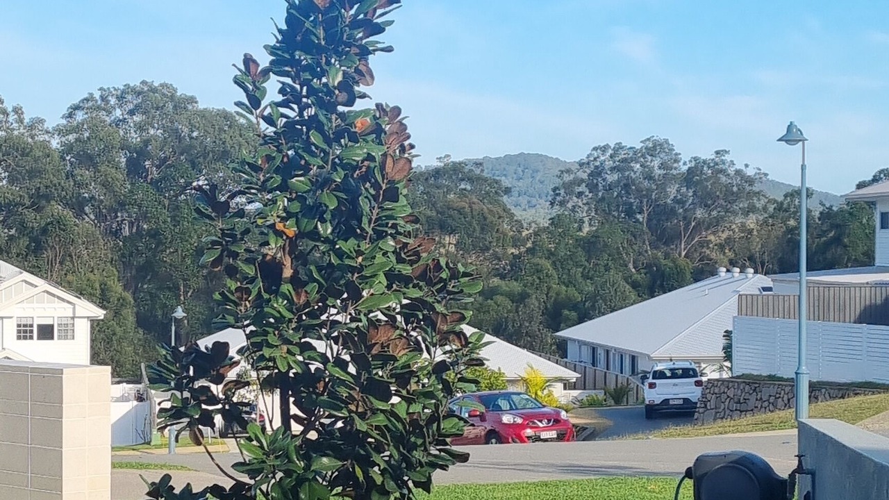 Photo of Outdoor in Peregian Beach