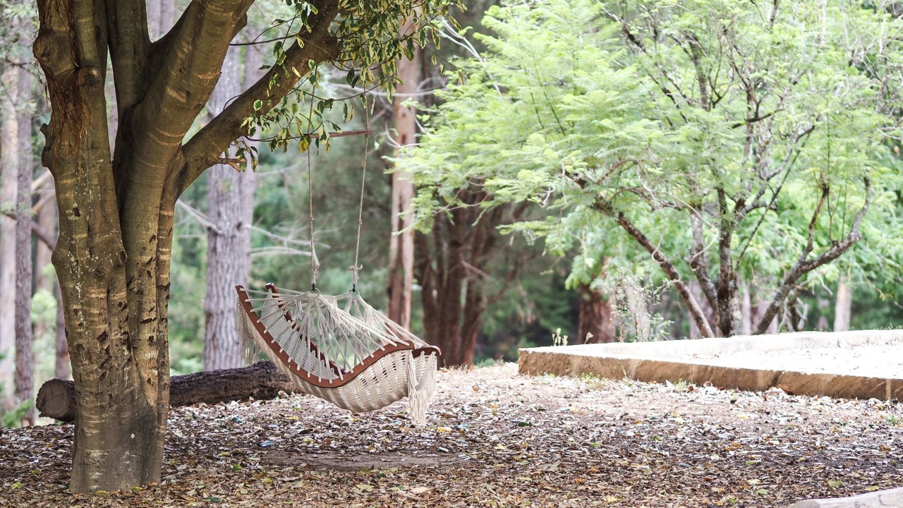 Photo of Outdoor in Pemberton