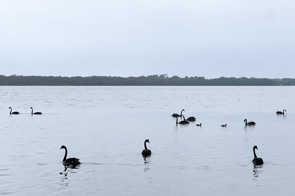 Photo of Others in Central Coast