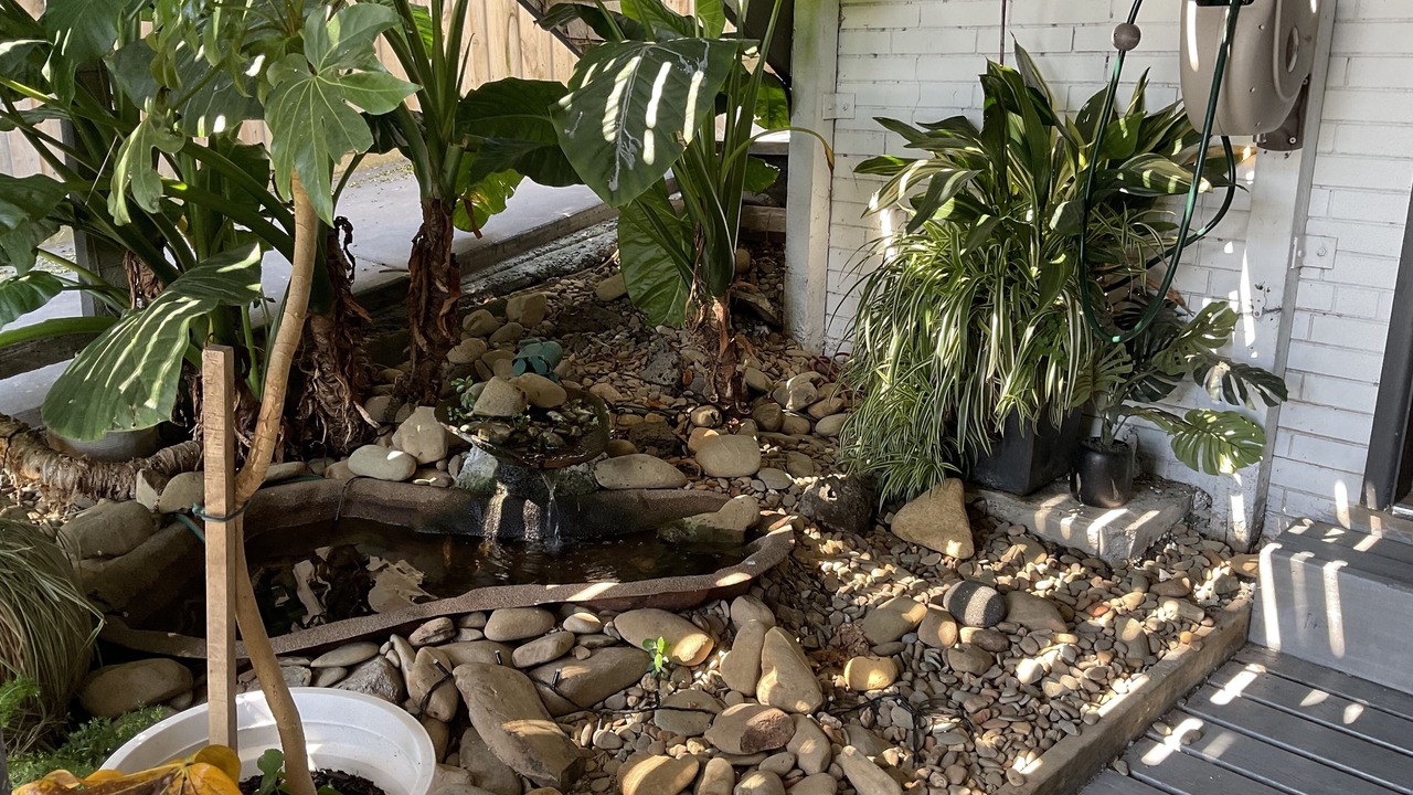 Photo of Outdoor in Mooroolbark