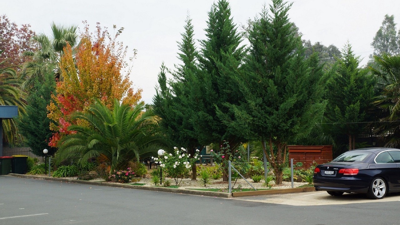 Photo of Outdoor in Myrtleford