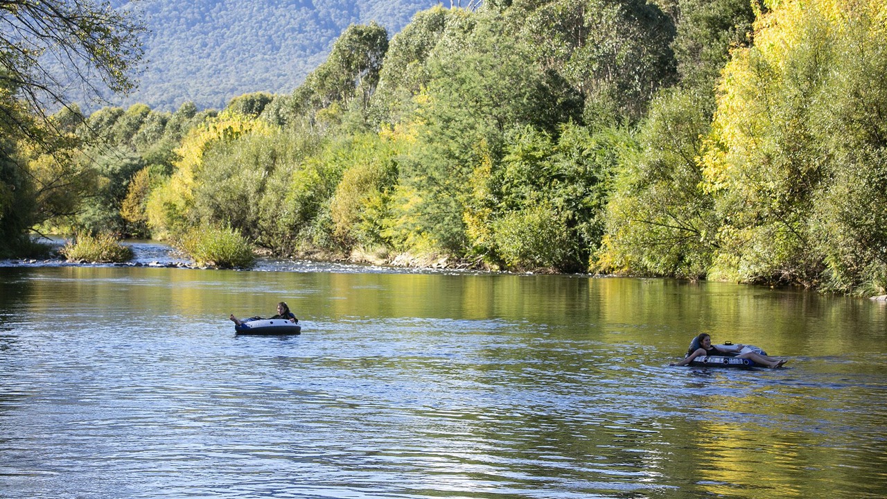 Photo of Outdoor in Tawonga