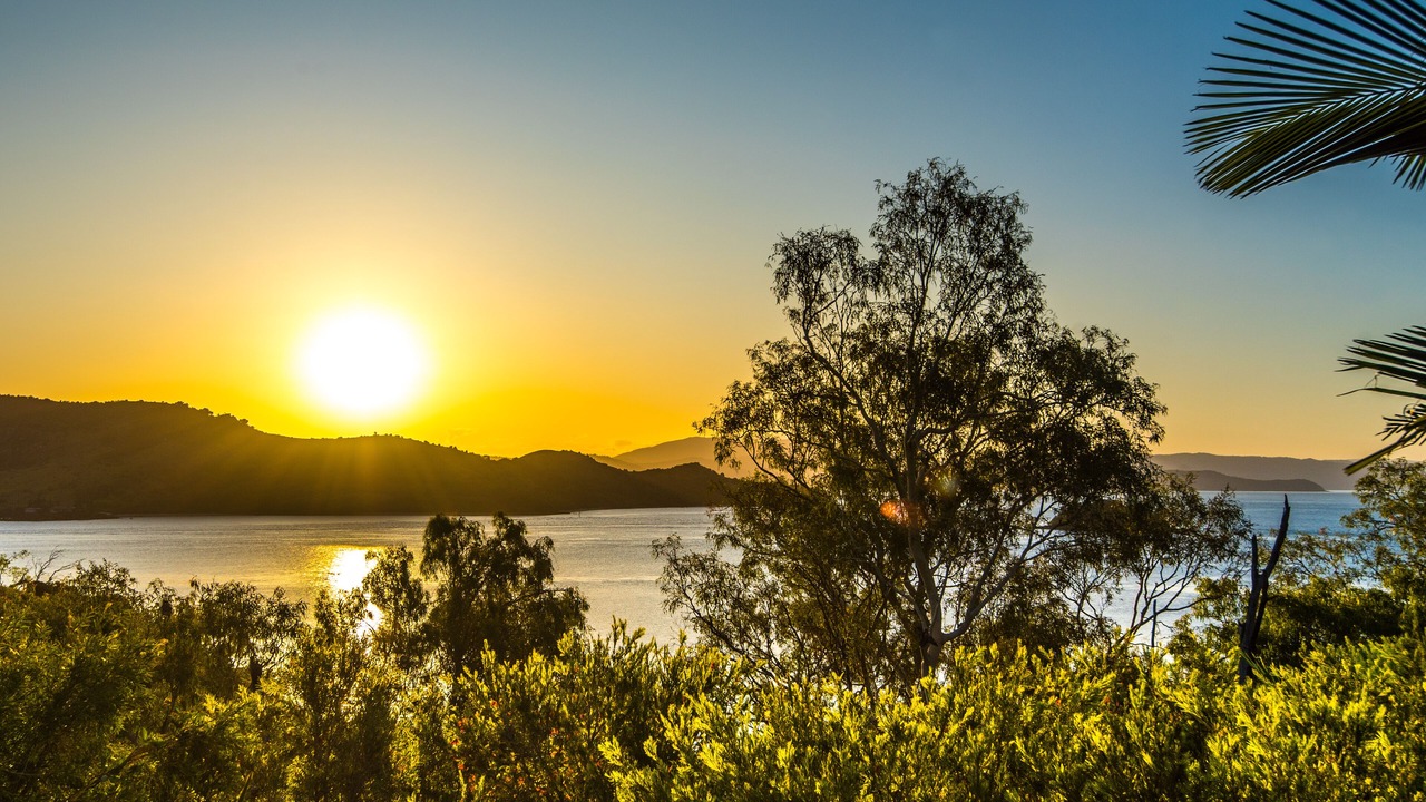 Photo of Others in Hamilton Island