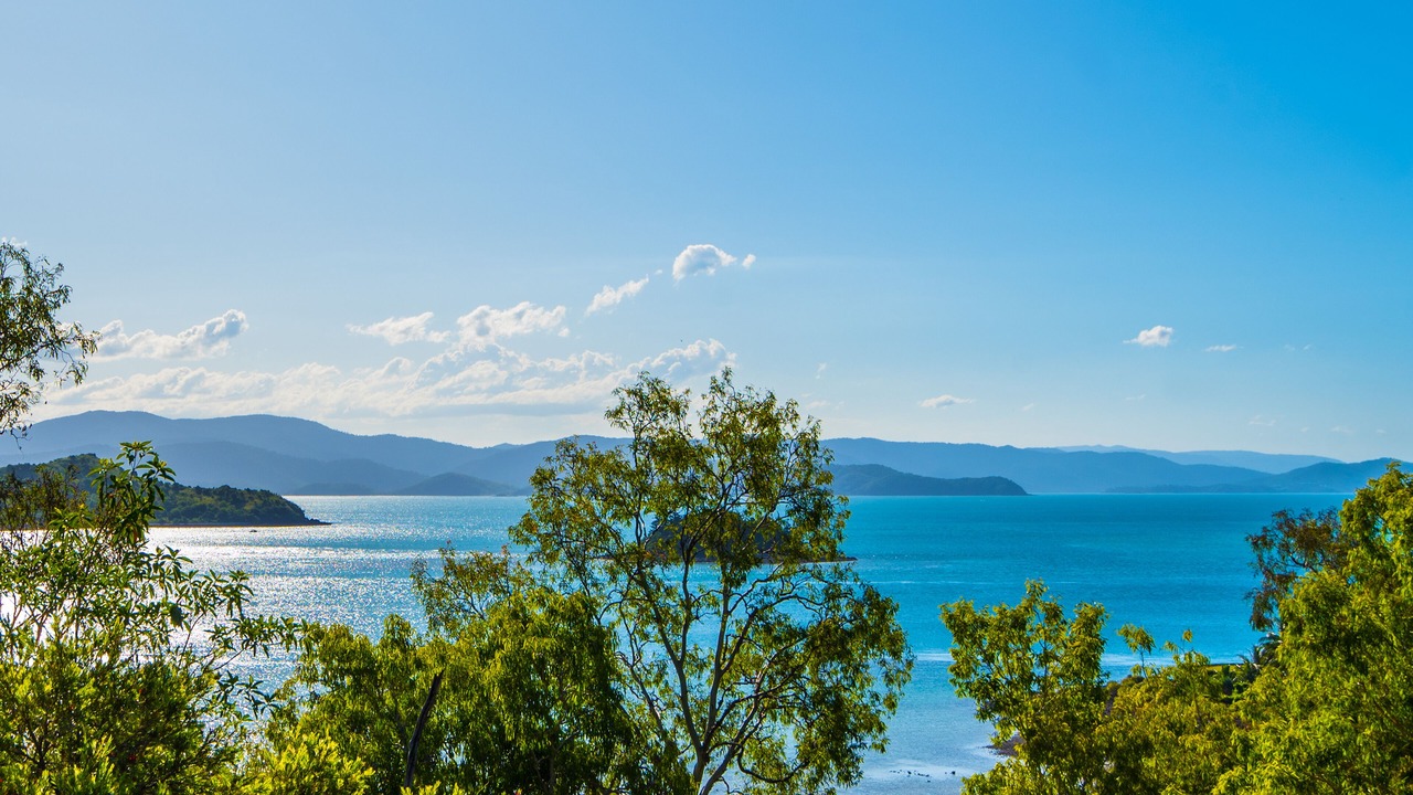 Photo of Others in Hamilton Island