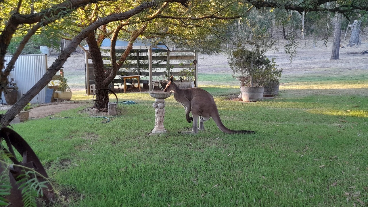 Photo of Outdoor in Hindmarsh Valley