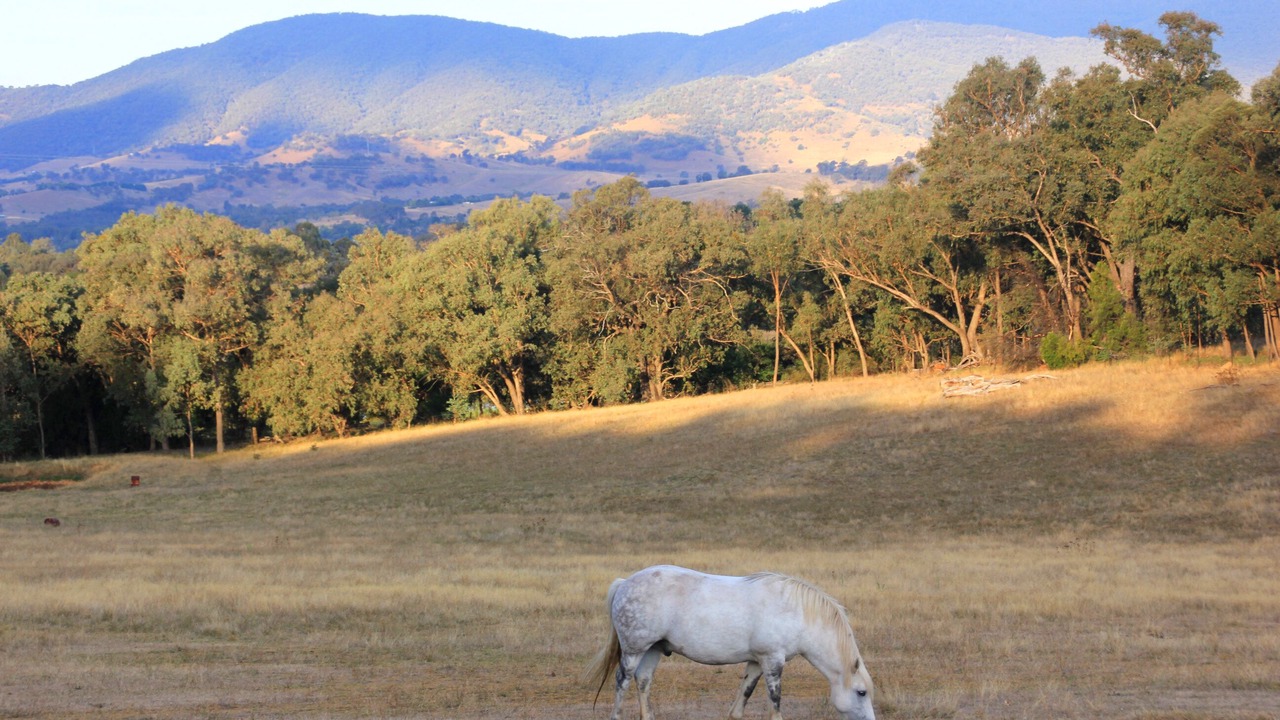 Photo of Outdoor in Yackandandah