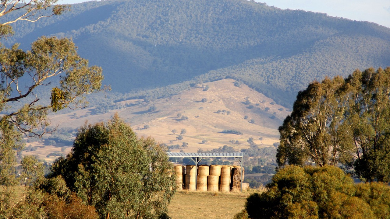 Photo of Outdoor in Yackandandah