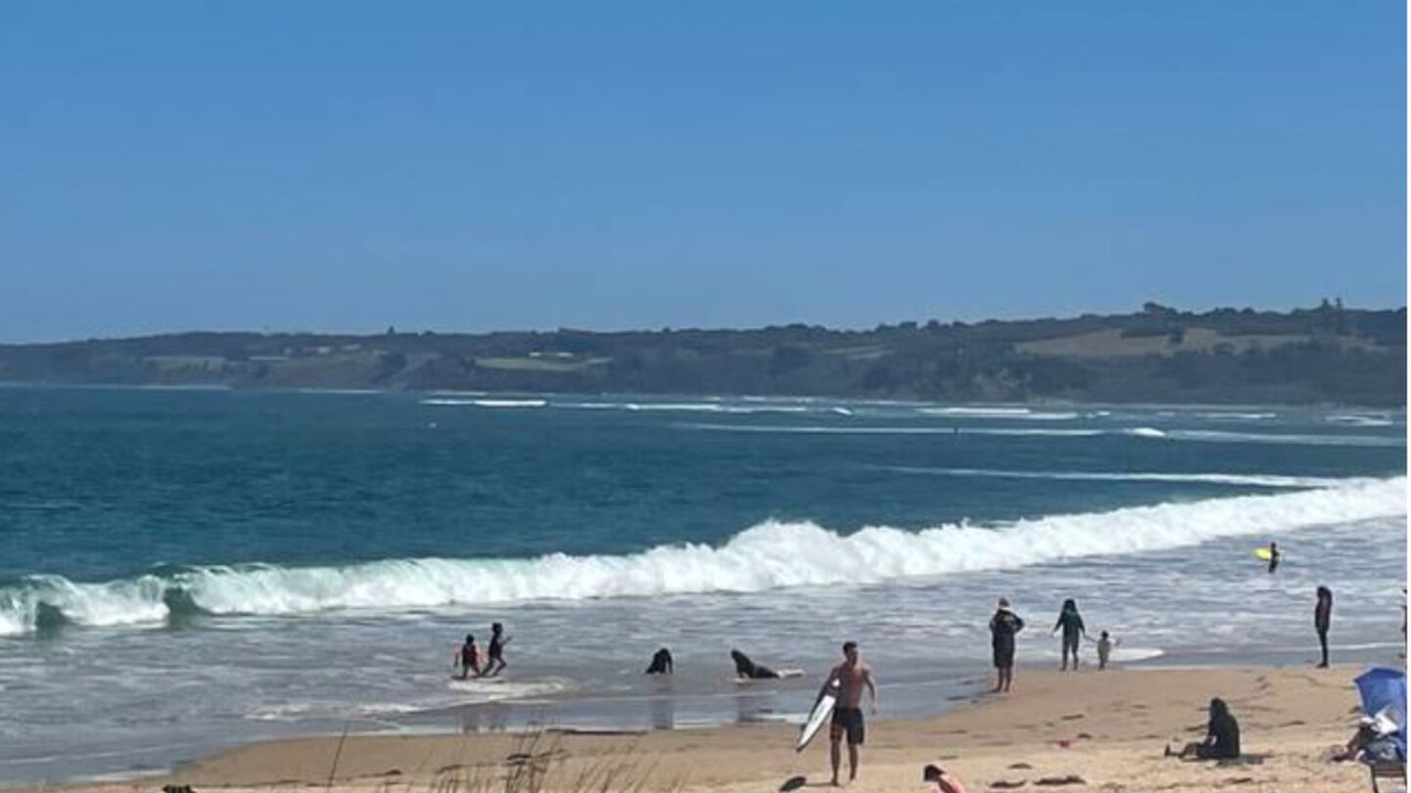 Photo of Others in Point Leo