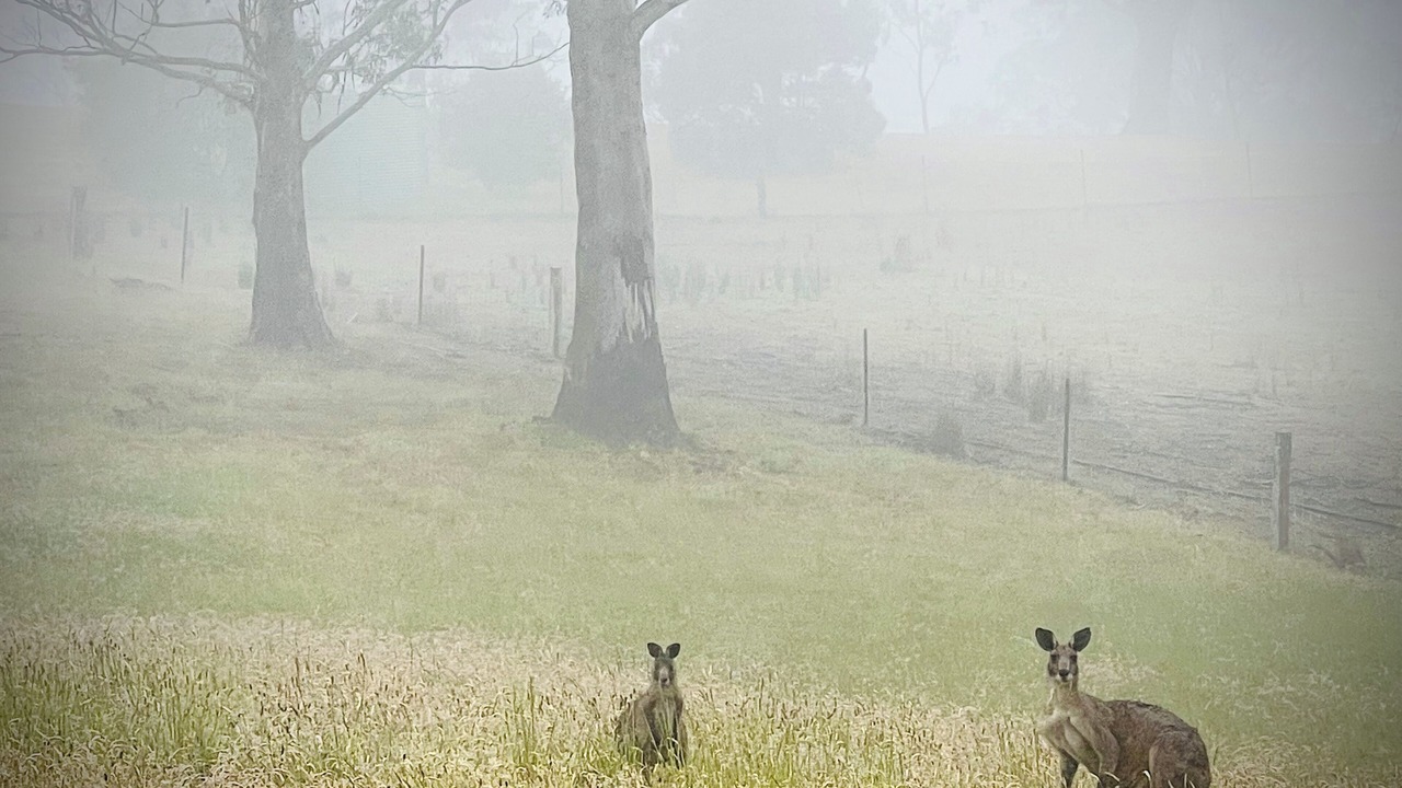 Photo of Others in Good Forest