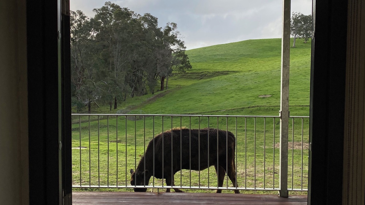 Photo of Others in Nannup