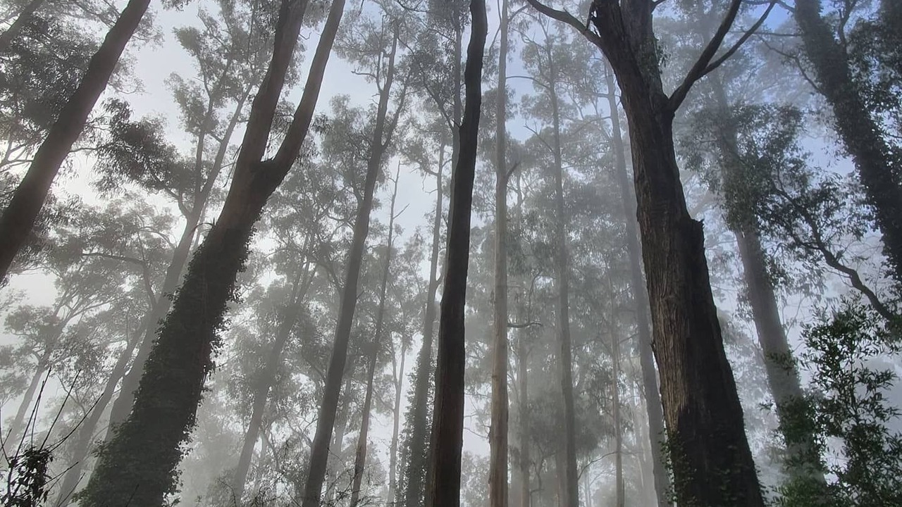 Photo of Outdoor in Olinda