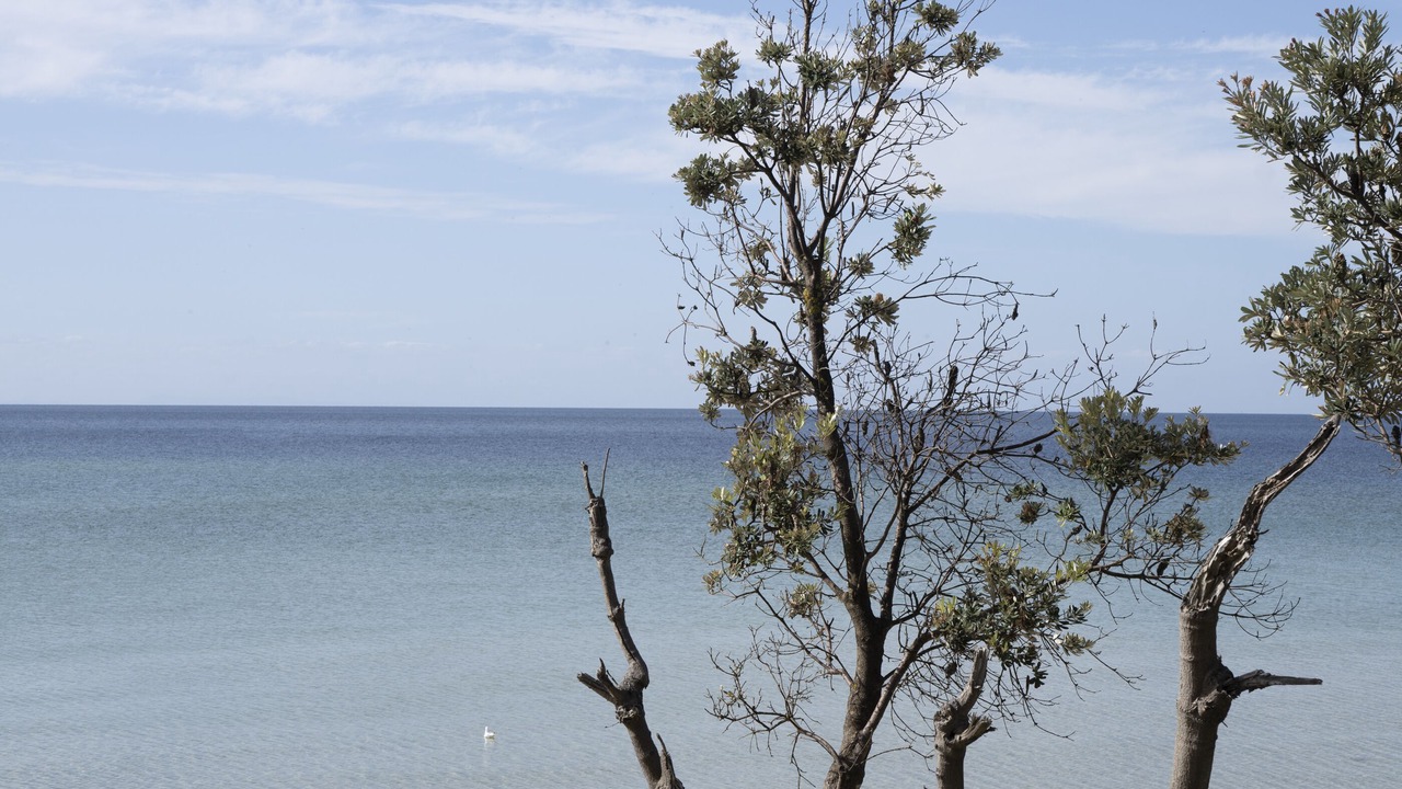 Photo of Others in Dromana