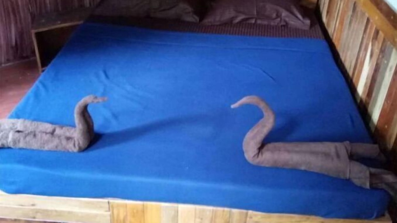 Photo of Bedroom in Kaimane