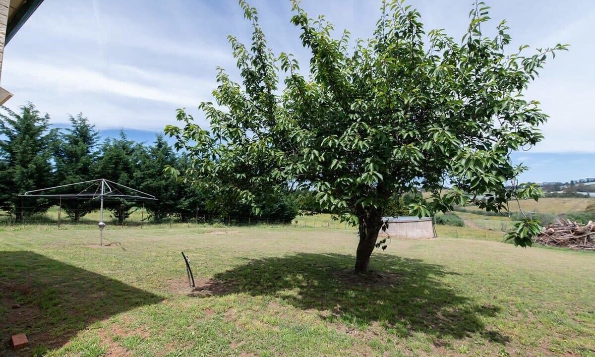 Photo of Outdoor in Canobolas