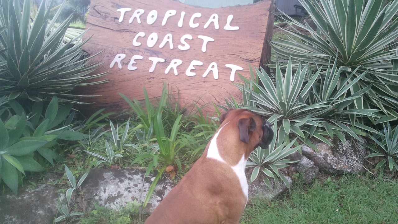 Photo of Outdoor in Duranbah