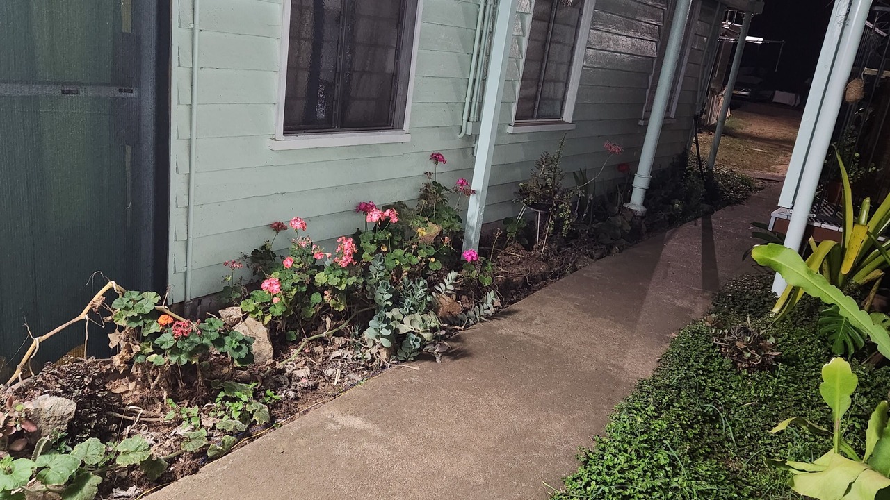 Photo of Outdoor in Mount Morgan