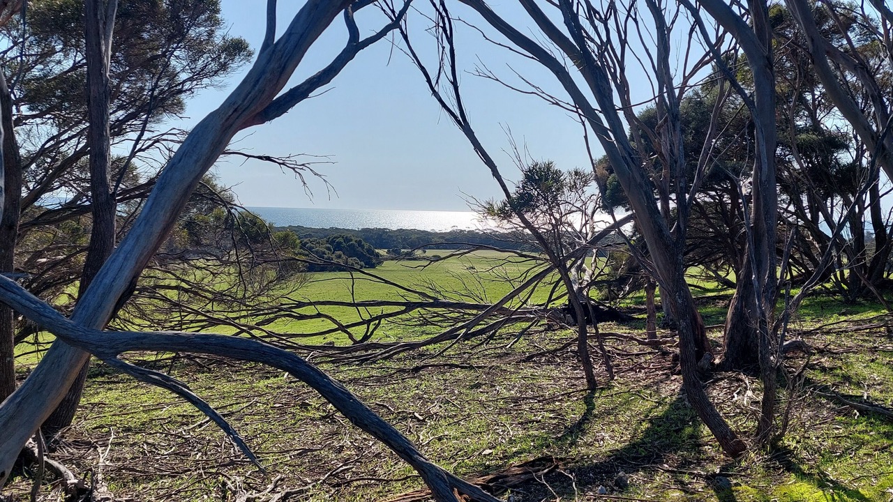 Photo of Others in Nepean Bay