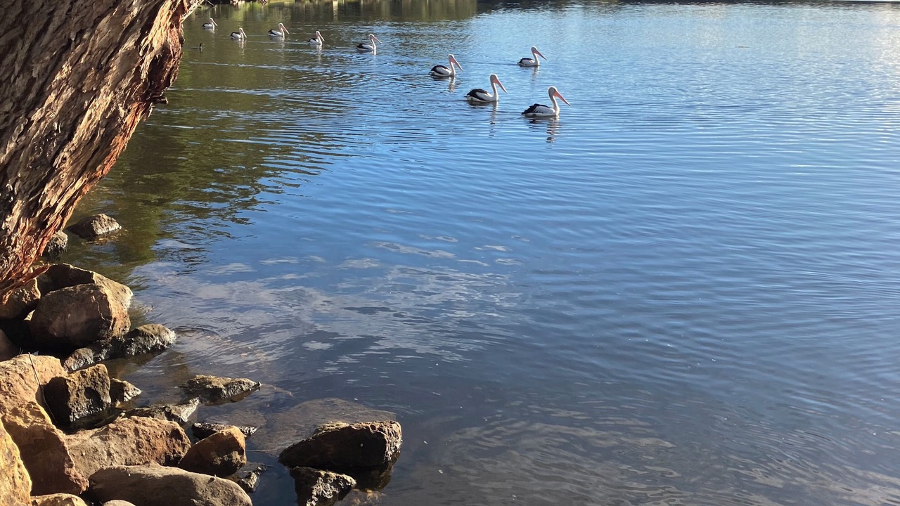 Photo of Outdoor in Lake Tabourie