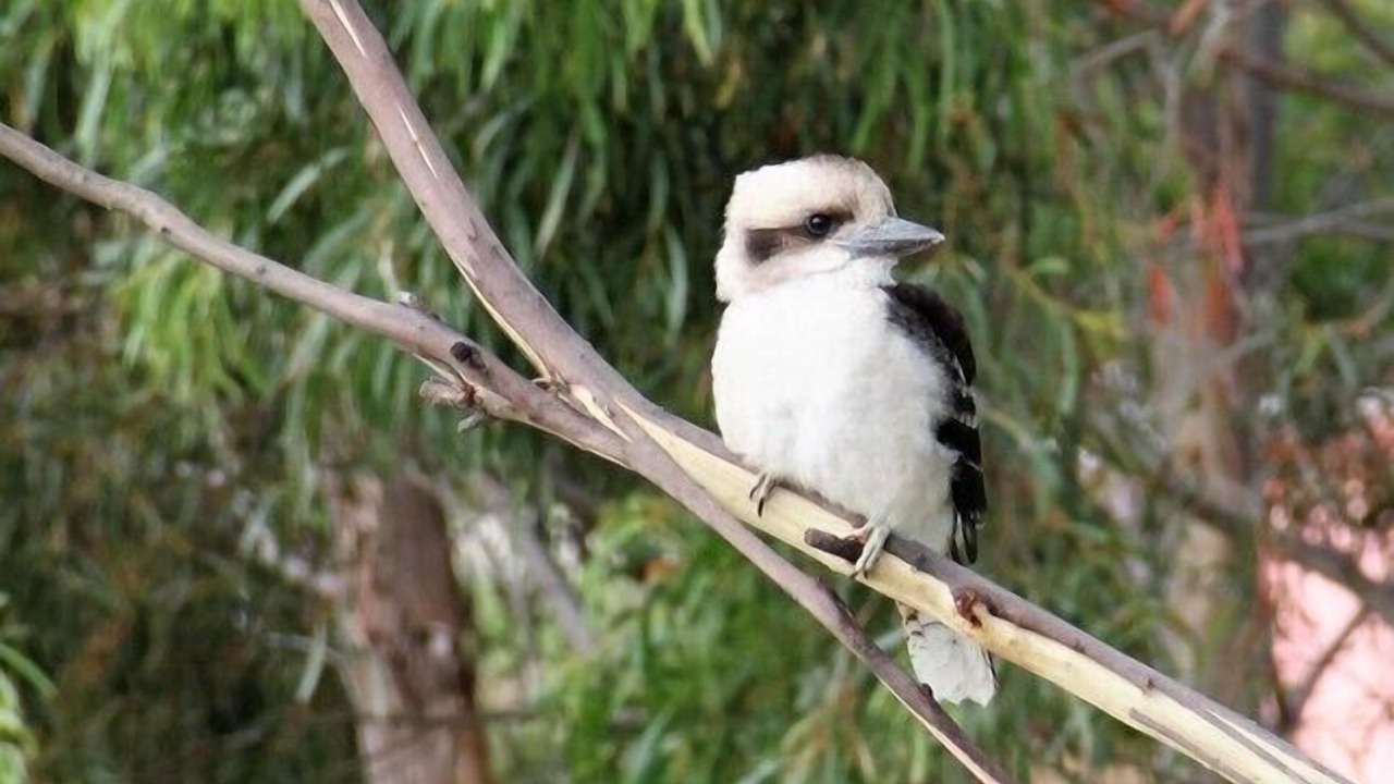 Photo of Outdoor in Binalong Bay