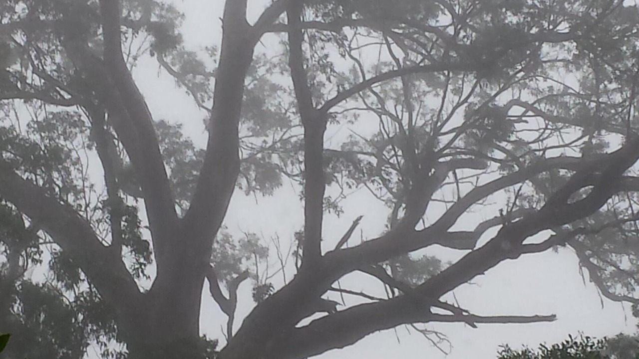 Photo of Outdoor in Burrawang