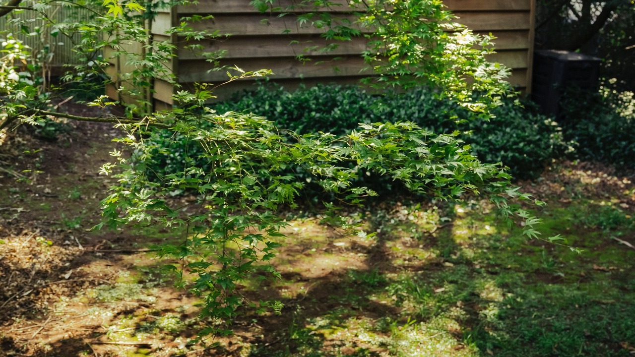 Photo of Outdoor in Burrawang